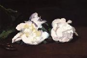 Edouard Manet Branch of White Peonies and Shears oil painting on canvas